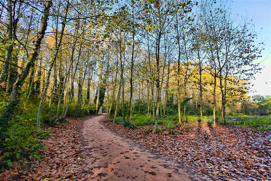 VIA VERDA OLOT GIRONA via verda olot girona: